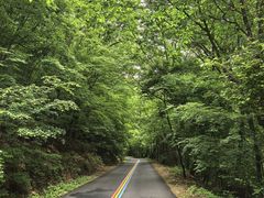 -五女峰国家森林公园