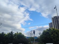 -辽宁大学(崇山校区)