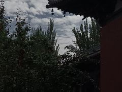 -善化寺