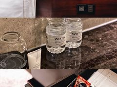 -广交会威斯汀酒店