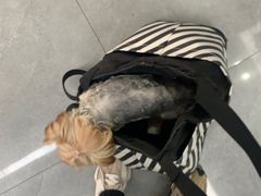 -贝利宠物医院·骨科·眼科·肿瘤转诊中心(南坪诊疗中心)