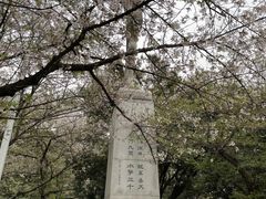-武汉大学-樱园