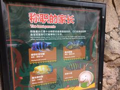 -珠海长隆海洋王国