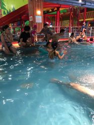 点击看大图 -宝燕乐园(闵行旗舰店)