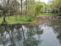 -西溪国家湿地公园