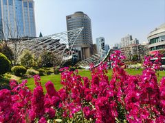 -北外滩滨江绿地