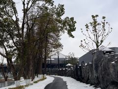 -武汉动物园