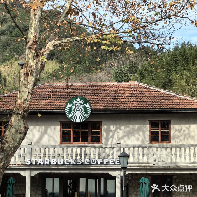 只在此山中，云深不知处