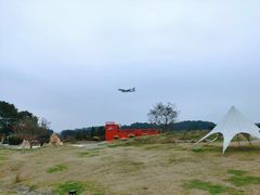 -空港花田景区