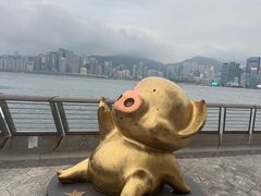 -星光大道