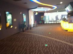 -万达影城(潍坊万达广场IMAX店)