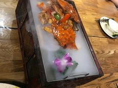 -恐龙人俱乐部