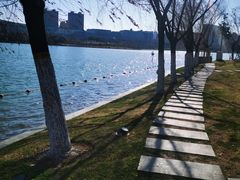 -天鹅湖体育公园