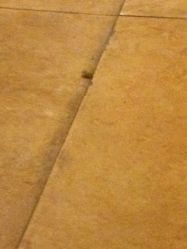 脉道养生会所-脉道美容养生会所