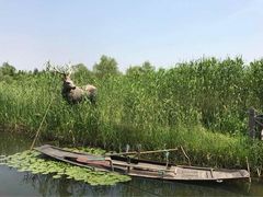 -溱湖国家湿地公园