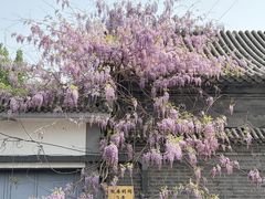 -北京市劳动人民文化宫(太庙)