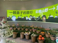 -花菇朵 ll 野生菌锅·精品滇菜(后沙峪店)