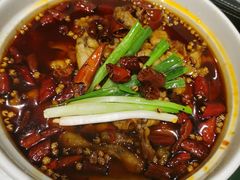 水煮牛蛙-新沸腾鱼乡(世贸天阶店)