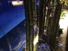 -清真·卡德尔大叔新疆主题餐厅(龙汇路店)