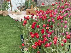 -HERRE·FARM 赫尔露营农场·团建聚会包场