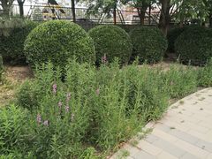 -元大都城垣遗址公园