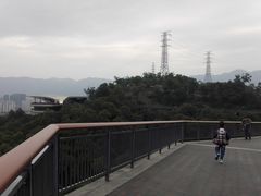 -金鸡山公园