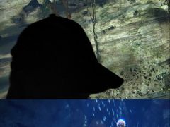 -珠海长隆海洋王国