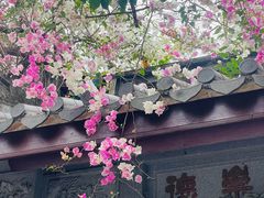 -深圳国际园林花卉博览园