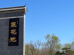 -莲花池公园