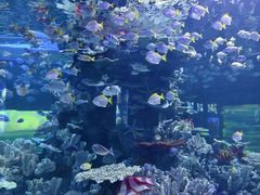 -左海海底世界