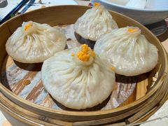 -点都德·毕德寮