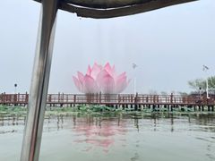 -白洋淀景区