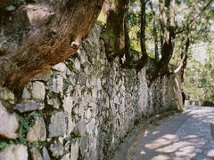 -香山公园