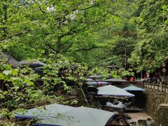 -青城山