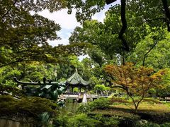 -申粤轩酒楼·三十年粤菜经典(丁香花园店)