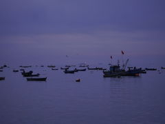 -海源公园