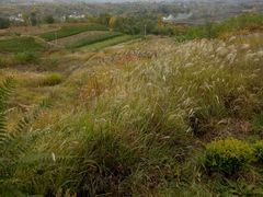 -商洛老君山旅游风景区