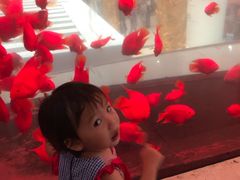 -西树泡芙(正佳店)