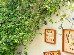 -春树下·树屋花房西餐厅(罍街AS1980店)