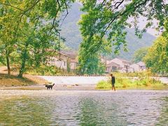 -鹿亭中村