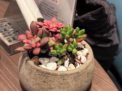 -佘山世茂艾美·御珍轩中餐厅