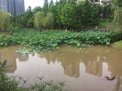 -沐仙湖湿地公园