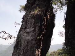 -福建天门山