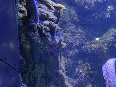 -海合安青岛极地海洋公园