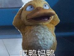 -吉林大学(前卫南区)