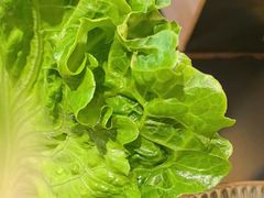 -厚贞日式烤肉(浦东汇智店)