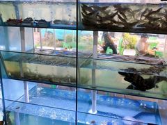 -海之鲜大排档(东山海鲜金銮湾店)