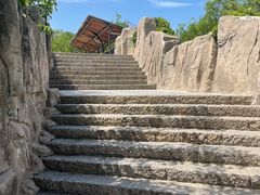 -石家庄市动物园