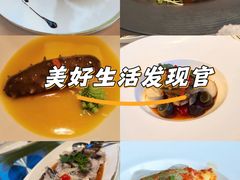 -金轩中餐厅 Jin Xuan(浦东丽思卡尔顿酒店)