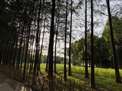 -武汉园博园(武汉自然博物馆)
